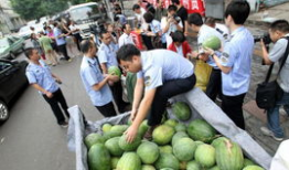 莱芜区吃瓜最新事件爆料,揭秘背后惊人真相！